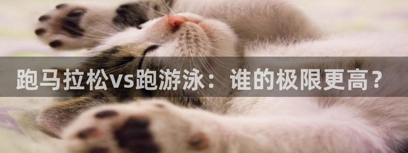 ug环球官网注册：跑马拉松vs跑游泳：谁的极限更高？