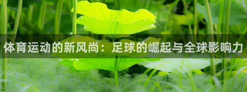 ug环球官网登录入口：体育运动的新风尚：足球的崛起与全球影响力