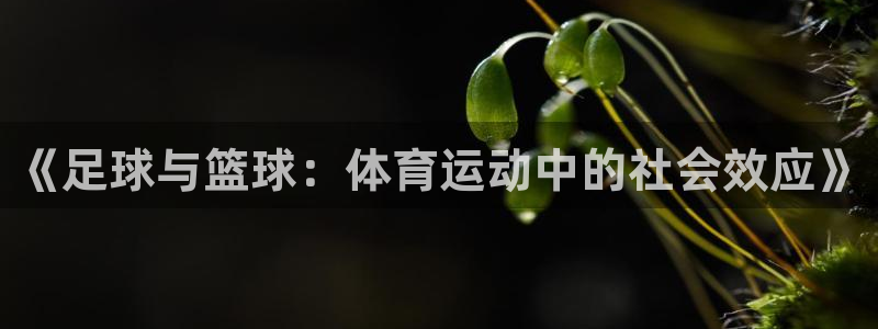 ug环球官网登录入口：《足球与篮球：体育运动中的社会效应》