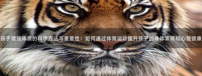 ug环球官网注册：孩子增强体质的科学方法与重要性：如何通过体育运动提升孩子的身体素质和心理健康