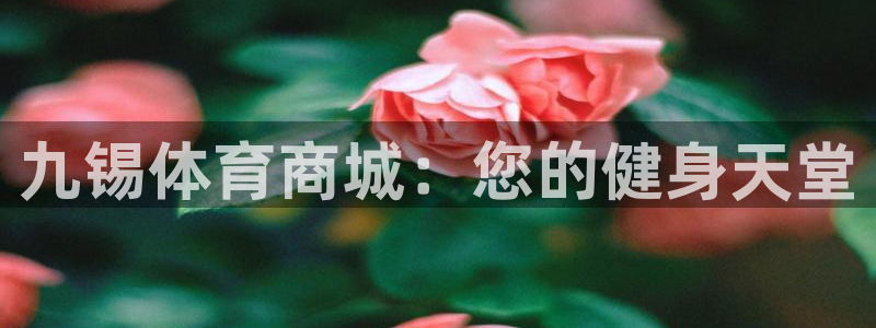 ug环球官网登录入口：九锡体育商城：您的健身天堂