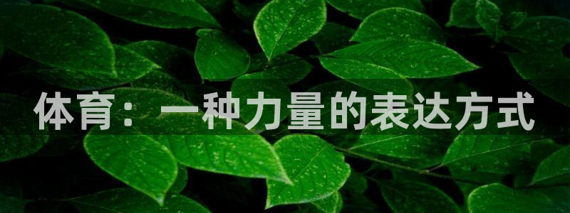 ug环球官网登录入口：体育：一种力量的表达方式