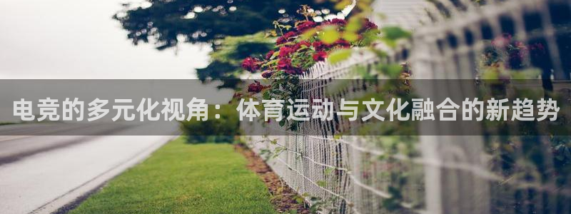 ug环球官网登录入口：电竞的多元化视角：体育运动与文化融合的新趋势