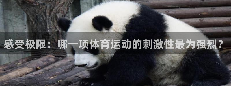 ug环球官网：感受极限：哪一项体育运动的刺激性最为强烈？